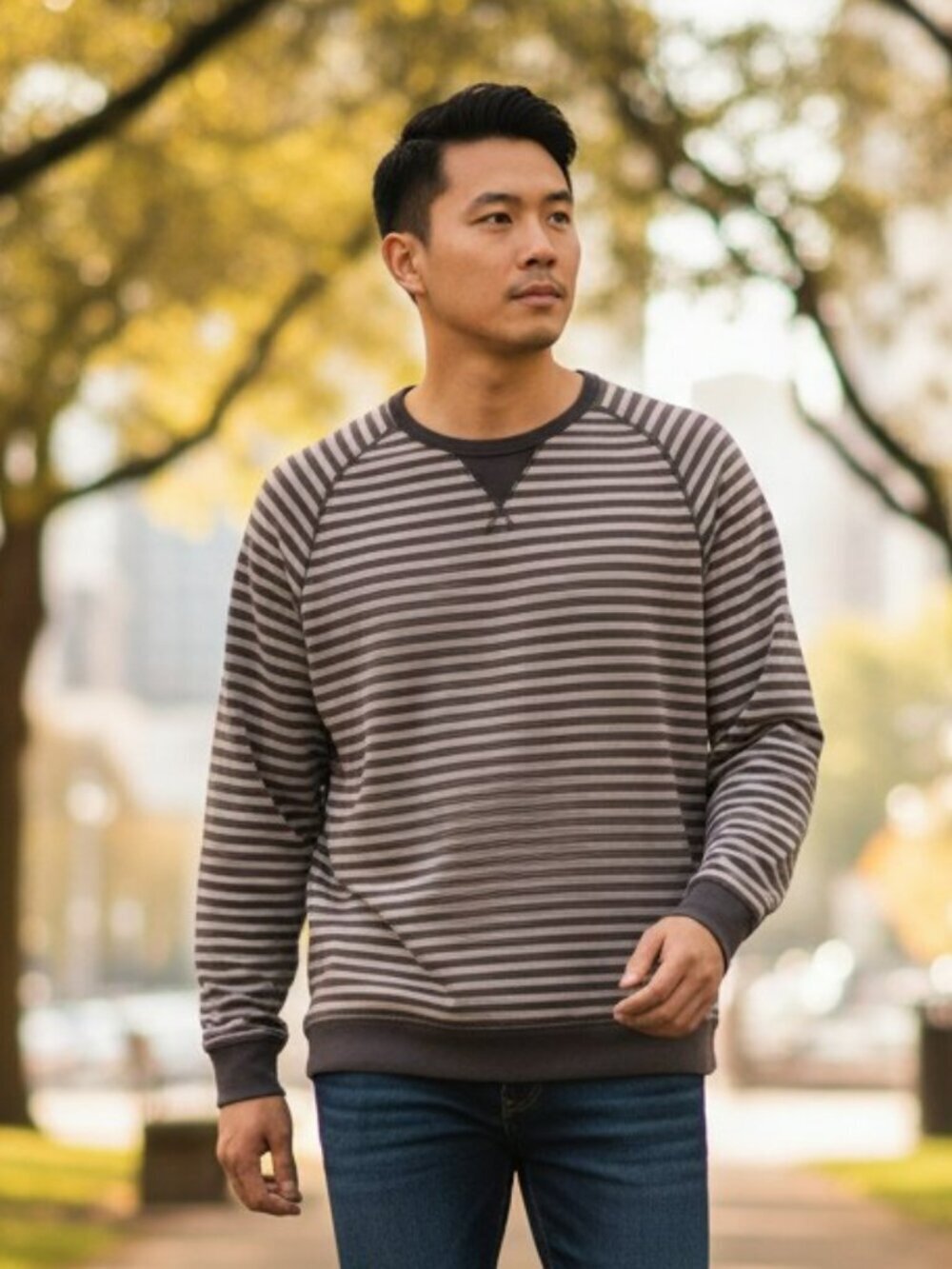 Lands End Mens Size Large Gray Stripe Serious Sweats Pullover Sweater Sweatshirt